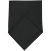 

 
Шейный платок Bandana, черный