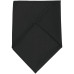 

 
Шейный платок Bandana, черный