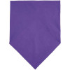 

 
Шейный платок Bandana, темно-фиолетовый