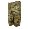 

 
Шорты Titan (Twill) Камуфляж в ассортименте Б-412-2
