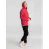 

 
Толстовка с капюшоном унисекс Hoodie, красный меланж
