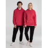 

 
Толстовка с капюшоном унисекс Hoodie, красный меланж